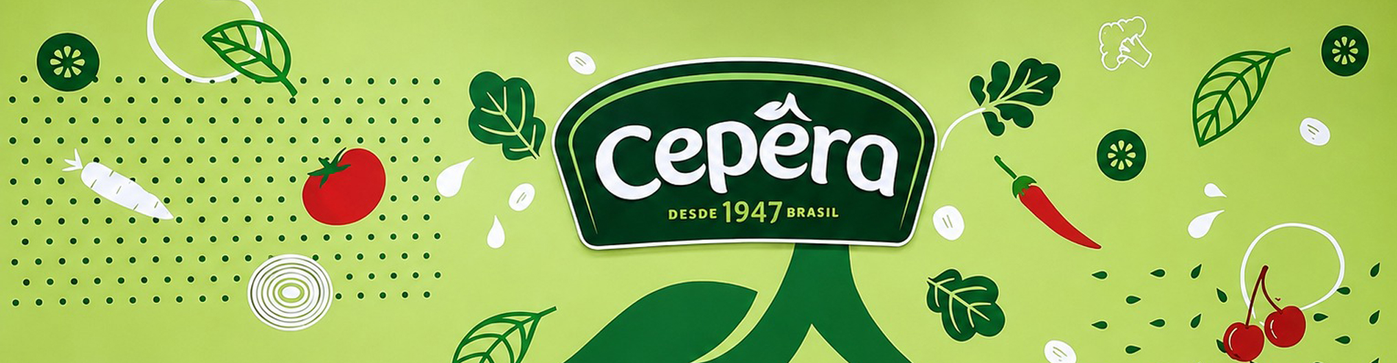 O que fizemos: